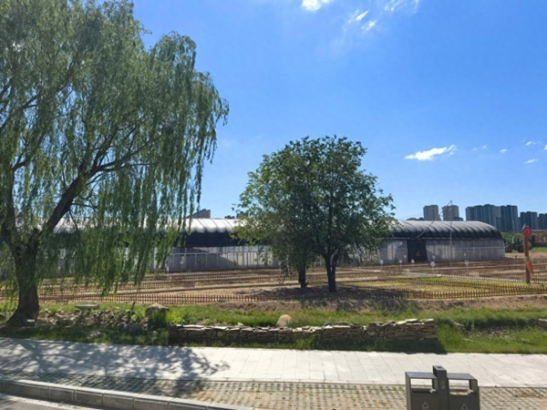 山西省大同市平城区：科技赋能城郊农业 拓宽乡村振兴致富路