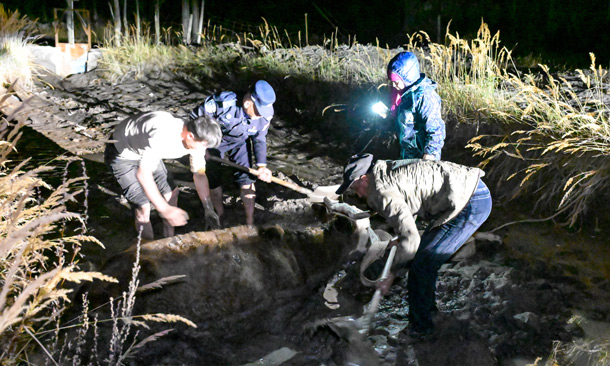 新疆克州：黄牛深陷泥潭 警民紧急救援