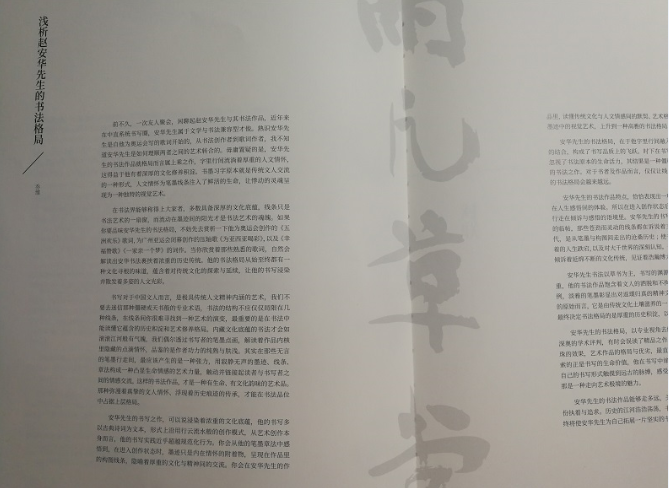 读赵安华书法作品集